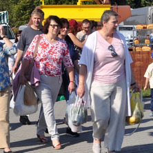 Mieszkańcy regionu zjechali do Minikowa. Wystawa ogrodnicza